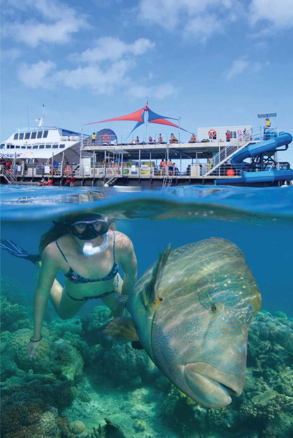 sunlover reef cruises overnight