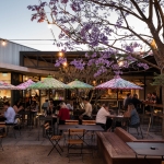 Courtyard with chinese patterned umbrellas, flowering jacaranda trees and diners seated at outdoor tables