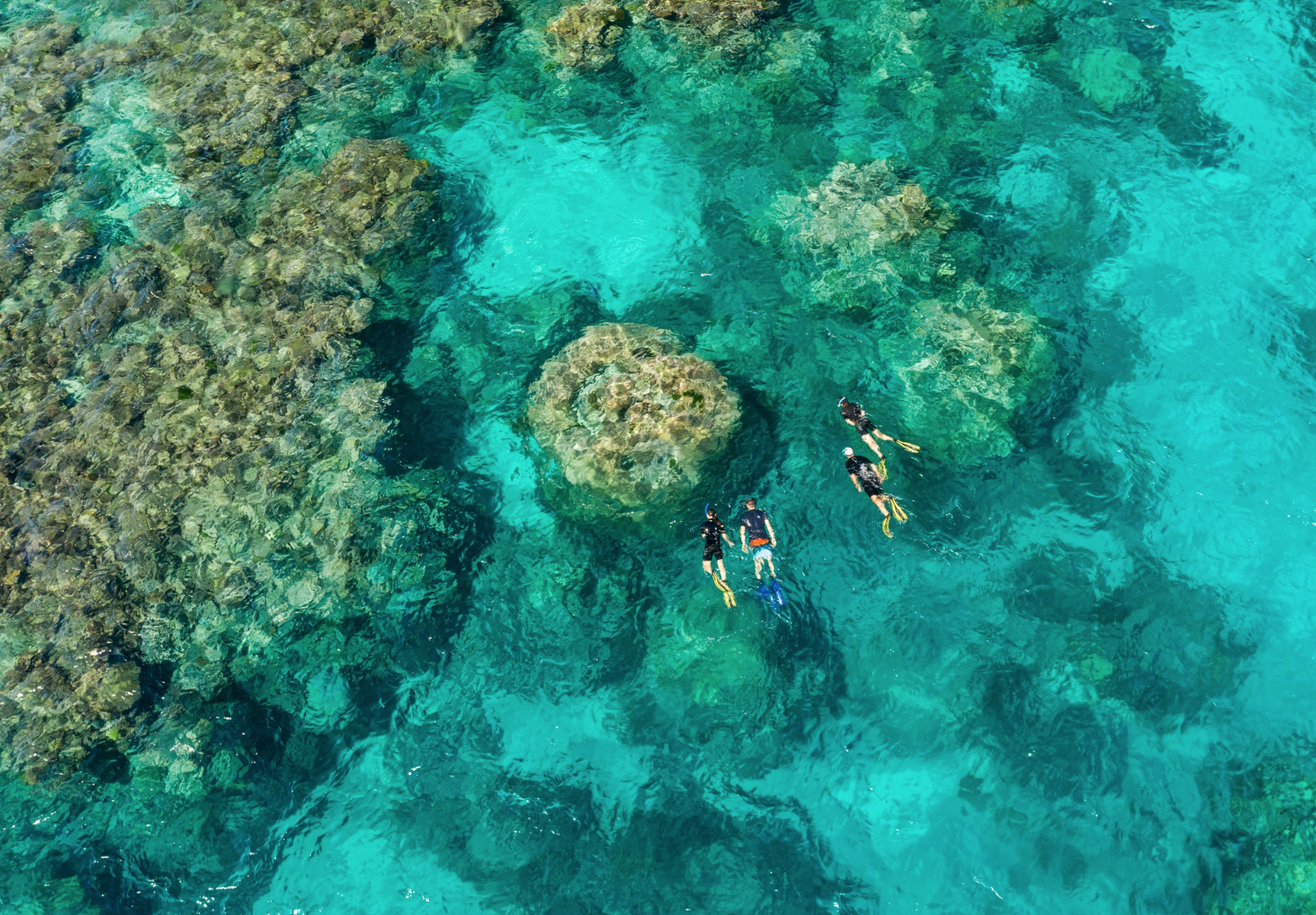 Tourism Tropical North